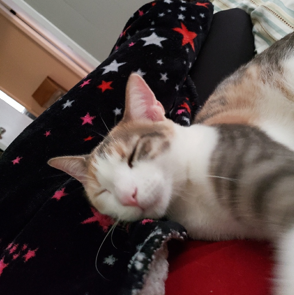 Meet your Posher, Jen